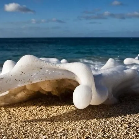 Sympatik Jastrzębia Góra